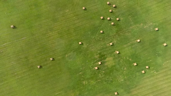Overhead view of farmlands