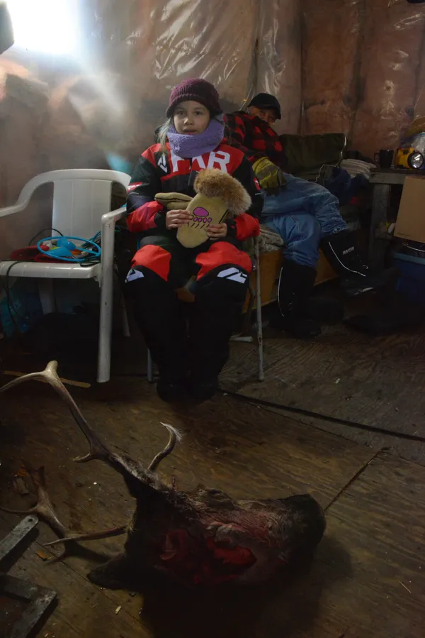A young person sitting in doors learning about caribou
