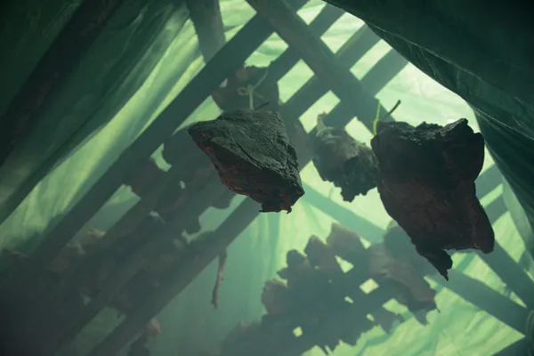 Caribou meat hanging in a smoking shelter