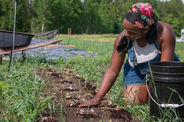 A farmer planting in the soil