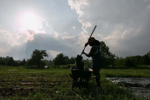A person plunging a shovel into a bucket