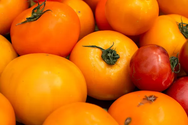Bright orange, yellow, and red tomatoes