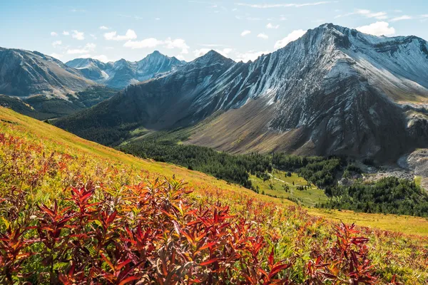 High in the mountains of Kananaskis Country, Alberta.